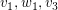 $ v_1,w_1,v_3 $ $ v_1,w_1,v_3 $